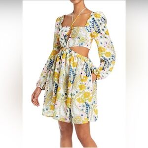 WAYF Hart Cut Out Babydoll Mini Dress